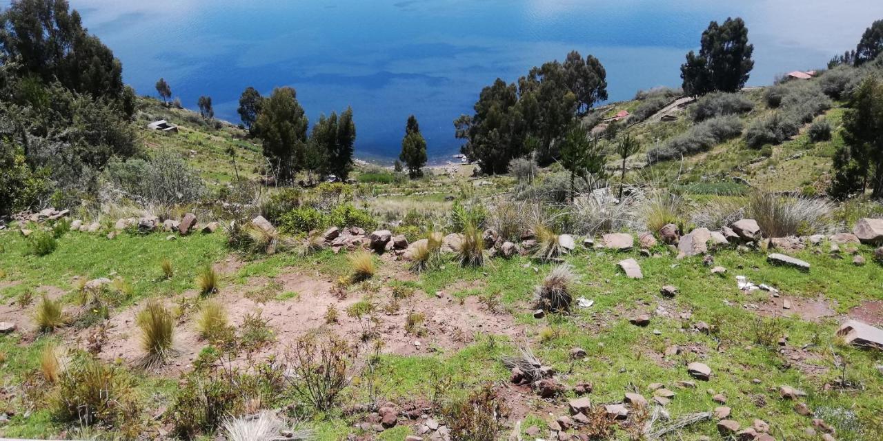 Taquile Hospedaje Mario Huillanopampa Bagian luar foto