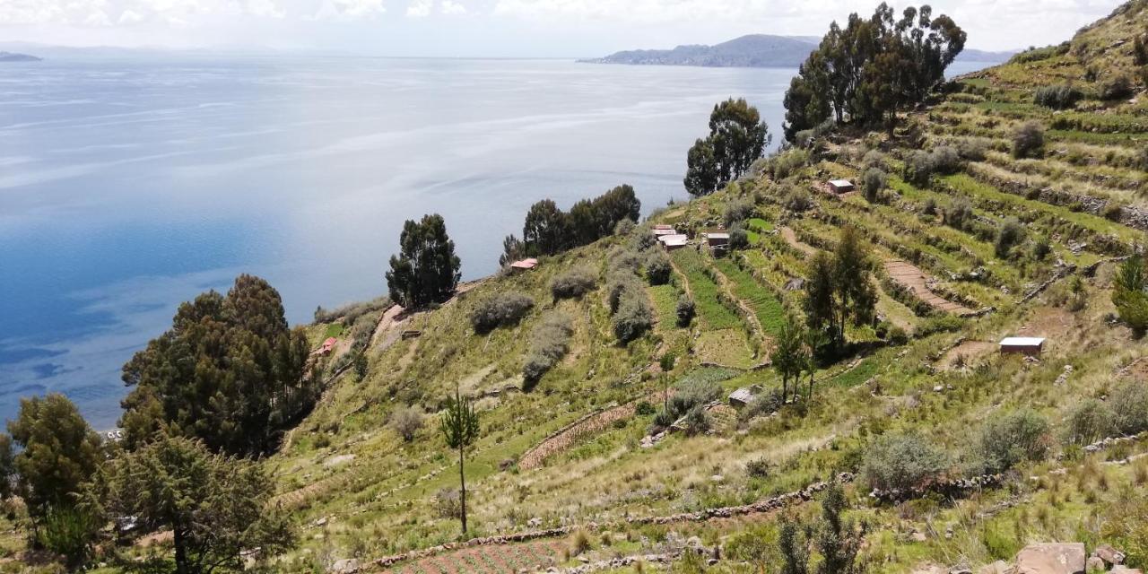 Taquile Hospedaje Mario Huillanopampa Bagian luar foto