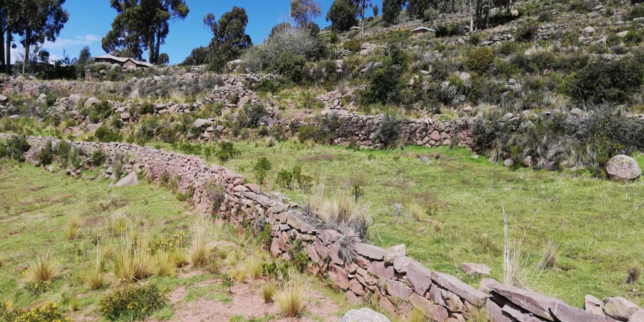 Taquile Hospedaje Mario Huillanopampa Bagian luar foto