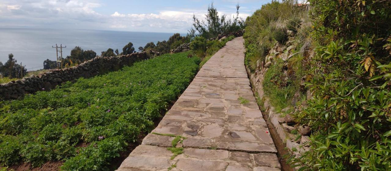 Taquile Hospedaje Mario Huillanopampa Bagian luar foto