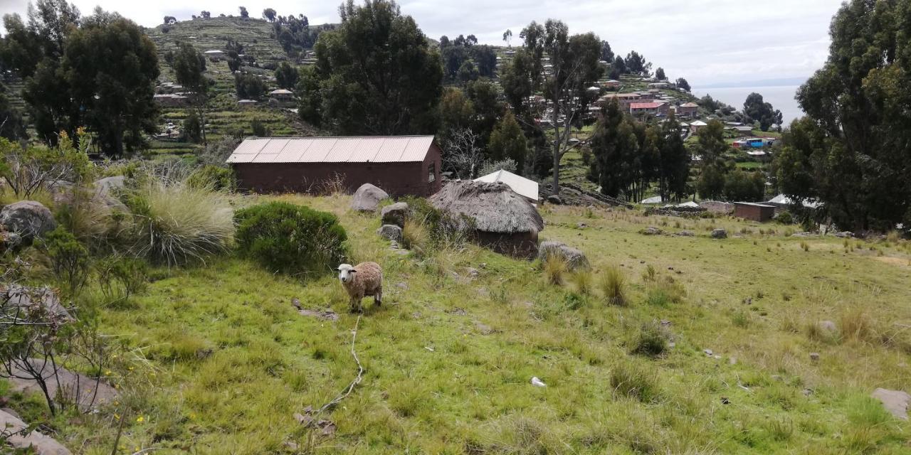 Taquile Hospedaje Mario Huillanopampa Bagian luar foto