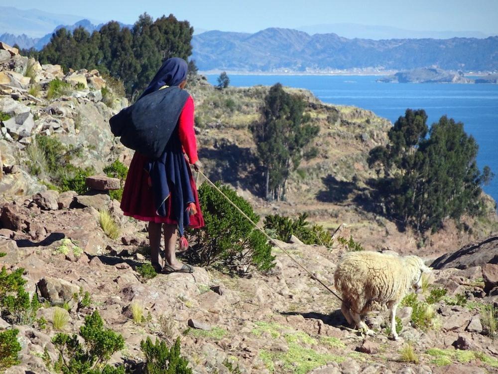 Taquile Hospedaje Mario Huillanopampa Bagian luar foto